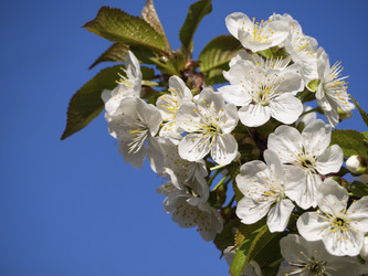 Similar image 21278255