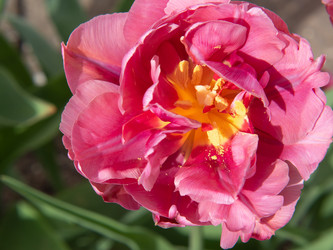 Similar image 21278256