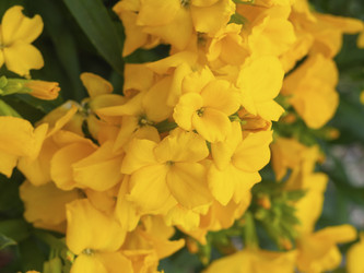 Similar image 21278257