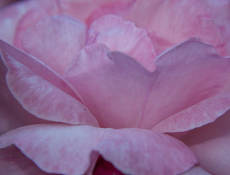 Similar image 21278264