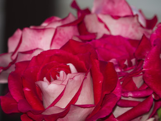 Similar image 21278265