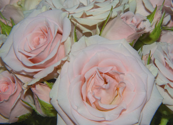 Similar image 21278266