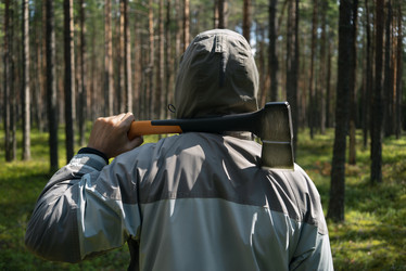 Similar image 21277682