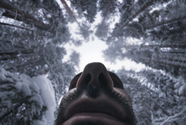 Similar image 21277686