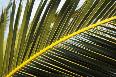 Similar image 21278268