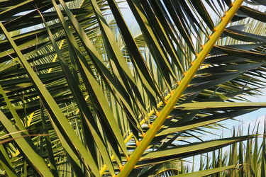 Similar image 21278269