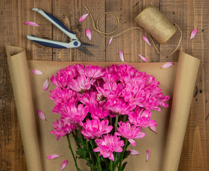 Similar image 21283542