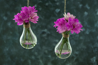 Similar image 21283543