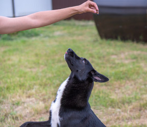 Similar image 21278355