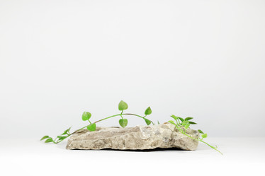 Similar image 21285542