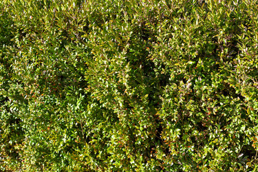 Similar image 21283722