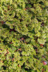 Similar image 21283727