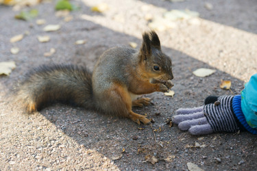 Similar image 21278406