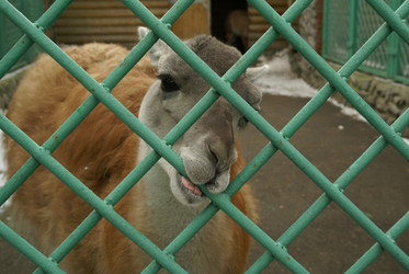 Similar image 21278407