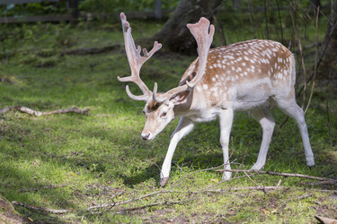 Similar image 21278408