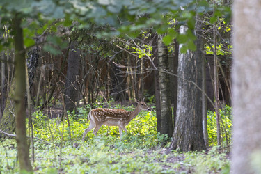 Similar image 21278410