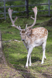 Similar image 21278412