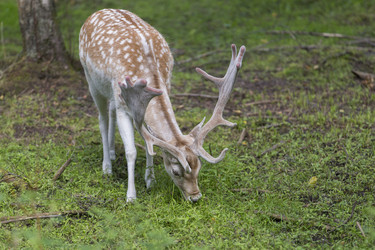 Similar image 21278414