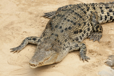 Similar image 21278415