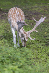 Similar image 21278416