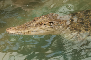 Similar image 21278417