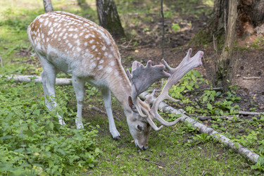 Similar image 21278418