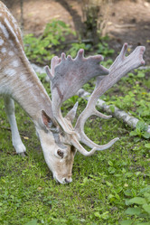 Similar image 21278419