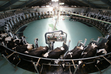 Similar image 21278420