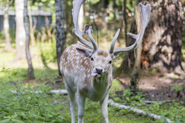 Similar image 21278421