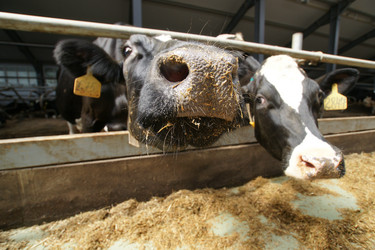 Similar image 21278422