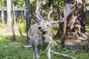 Similar image 21278423