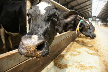 Similar image 21278424