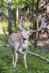 Similar image 21278425