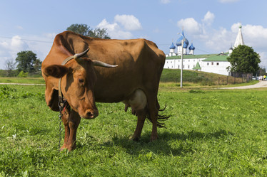 Similar image 21278426