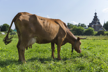 Similar image 21278428