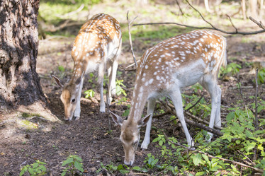 Similar image 21278429