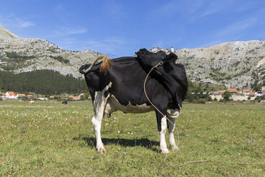 Similar image 21278432