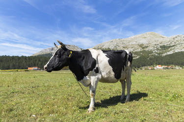 Similar image 21278434