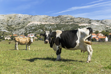 Similar image 21278436