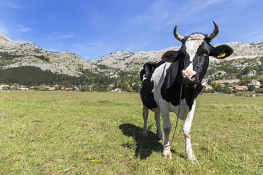 Similar image 21278438