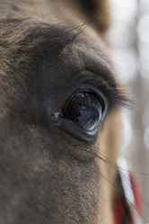 Similar image 21278439