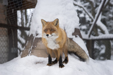 Similar image 21278442