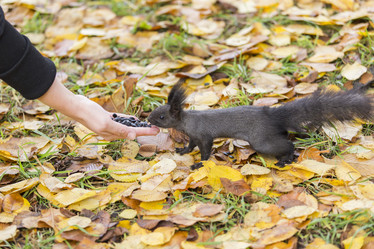 Similar image 21278443