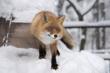 Similar image 21278444