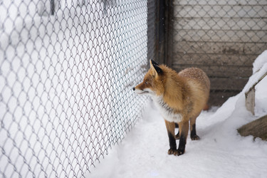 Similar image 21278447