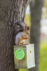 Similar image 21278448