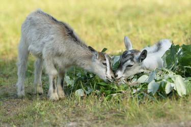 Similar image 21278449