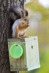 Similar image 21278450