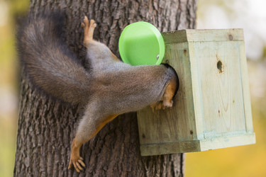 Similar image 21278452