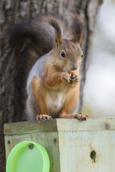 Similar image 21278454